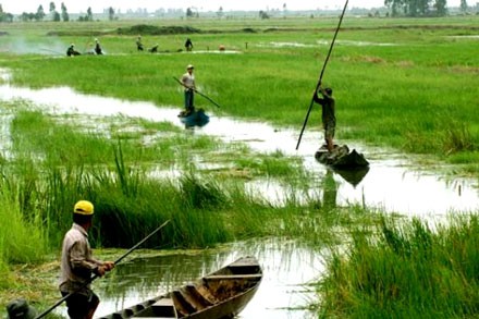 Rakyat di daerah dataran rendah sungai Mekong mengatasi pengaruh perubahan iklim - ảnh 1