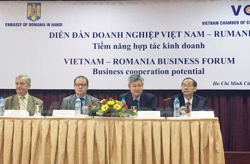 Kota Ho Chi Minh ingin mendorong kerjasama dengan Romania - ảnh 1