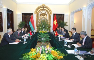 Vietnam-Belarus melakukan konsultasi politik tingkat Deputu Menlu - ảnh 1
