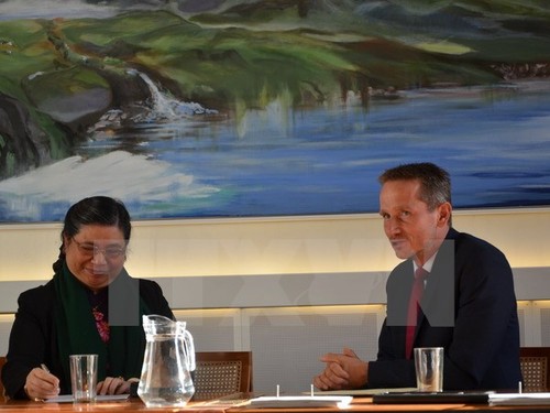Wakil Ketua MN Tong Thi Phong melakukan kunjungan di Denmark - ảnh 1