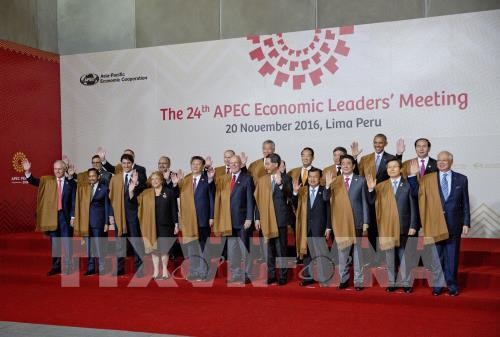 Negara-negara di Asia-Pasifik berkomitmen menentang proteksionisme - ảnh 1