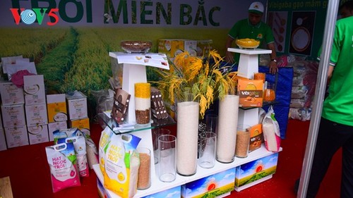 Pembukaan Pekan raya pertama hasil pertanian, kerajinan tangan industri kecil Vietnam - ảnh 5