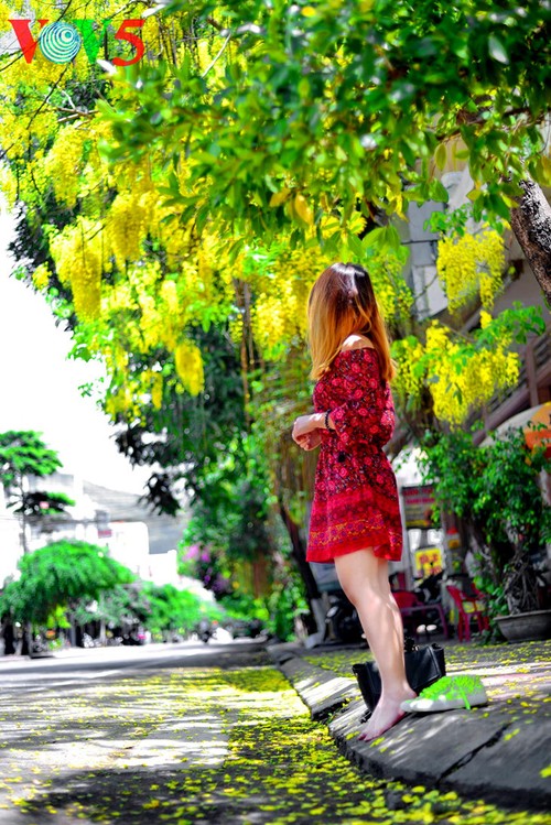 Bunga-bunga musim panas mekar di jalan-jalan kota Hanoi - ảnh 10