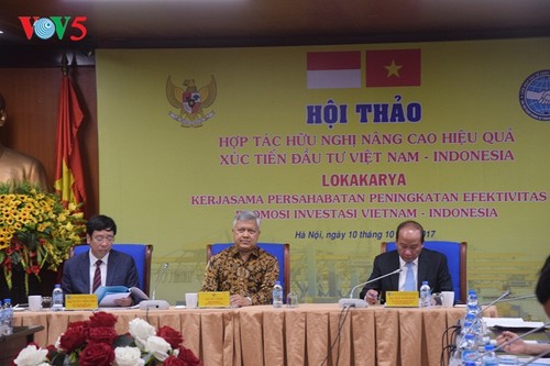  Meningkatkan efektivitas kerjasama investasi Vietnam-Indonesia - ảnh 1