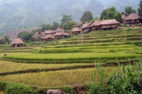 Kabupaten Cao Phong, Provinsi Hoa Binh mengkonservaskan nilai kebudayaan daerah Muong Thang - ảnh 1