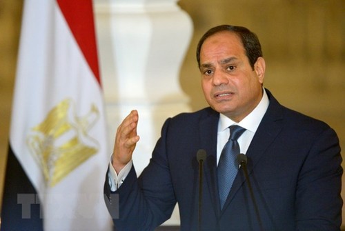  Presiden Mesir berseru mempercepat proses kerujukan Palestina - ảnh 1