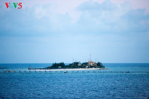 Keindahan Sinh Ton Dong,  pulau garis depan dari Kepulauan Truong Sa. - ảnh 1