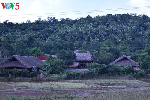 Pola wisata homestay turut memperbaiki kehidupan warga etnis Tay di Propinsi Ha Giang - ảnh 1