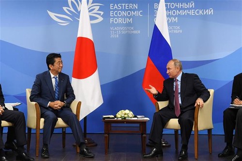 Pemimpin Rusia dan Jepang berbahas tentang program ekonomi bersama di pulau-pulau yang dipersengketakan - ảnh 1