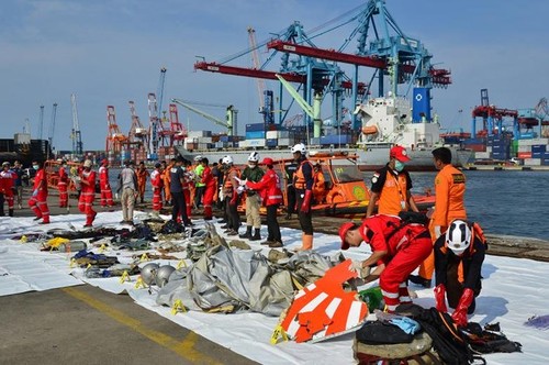 Pekerjaan pencarian dan pertolongan para korban kecelakaan pesawat terbang JT 610 jatuh di laut - ảnh 1