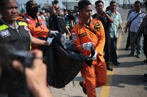 Pekerjaan pencarian dan pertolongan para korban kecelakaan pesawat terbang JT 610 jatuh di laut - ảnh 2