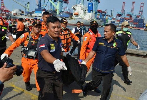 Pekerjaan pencarian dan pertolongan para korban kecelakaan pesawat terbang JT 610 jatuh di laut - ảnh 3