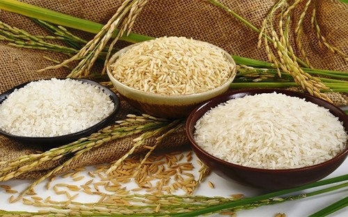 Afrika Selatan- Pintu gerbang bagi beras Vietnam untuk masuk pasar Afrika - ảnh 1