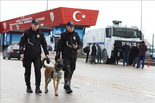 Turki dan Libanon menangkap banyak tersangka IS - ảnh 1