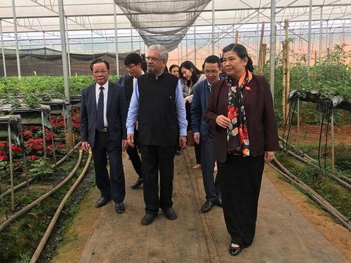 Wakil Harian Ketua MNVN,Tong Thi Phong melakukan kunjungan kerja di Kabupaten Moc Chau, Provinsi Son La - ảnh 1