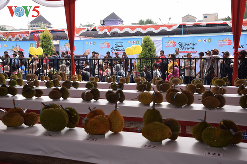 Festival Durian Khatulistiwa 2019, kebanggaan masyarakat Kalimantan Barat - ảnh 1