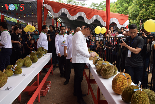 Festival Durian Khatulistiwa 2019, kebanggaan masyarakat Kalimantan Barat - ảnh 4