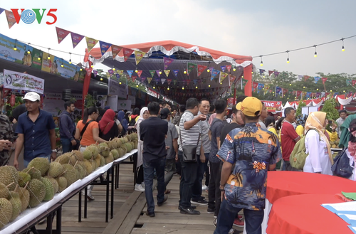 Festival Durian Khatulistiwa 2019, kebanggaan masyarakat Kalimantan Barat - ảnh 7