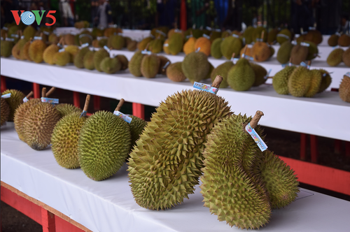 Festival Durian Khatulistiwa 2019, kebanggaan masyarakat Kalimantan Barat - ảnh 2