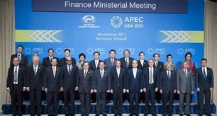 Vietnam's contributions to successful APEC summit - ảnh 1