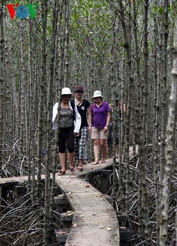 A visit to Can Gio World Biosphere Reserve  - ảnh 2
