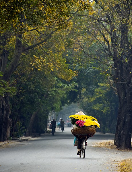 Autumn in Hanoi  - ảnh 2
