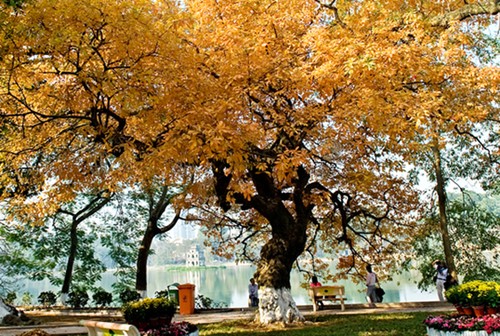 Autumn in Hanoi  - ảnh 5