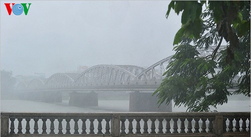 Hue imperial city in the rain  - ảnh 12