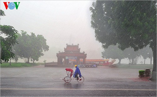 Hue imperial city in the rain  - ảnh 7