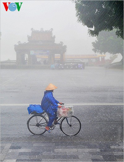 Hue imperial city in the rain  - ảnh 9