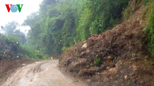 Localities clean up after Jebi storm  - ảnh 1