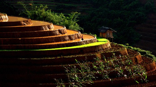 Terraced field farming culture in northern Vietnam  - ảnh 3