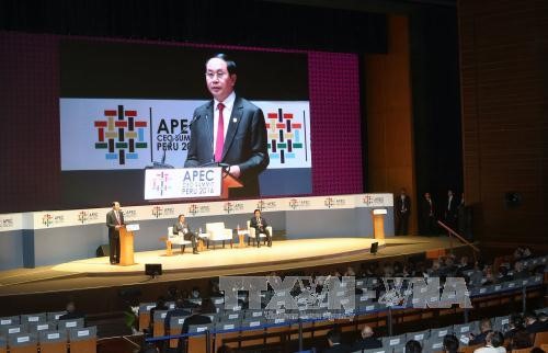 APEC 2017 confirms Vietnam’s stature  - ảnh 1