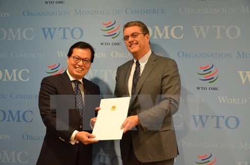 Vietnamese Ambassador presents credentials to WTO Director General  - ảnh 1