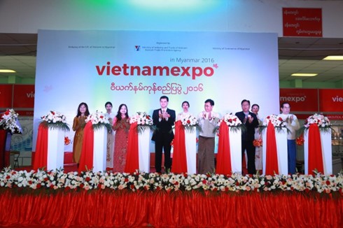 Vietnam evaluates trade, investment opportunities in Myanmar - ảnh 1