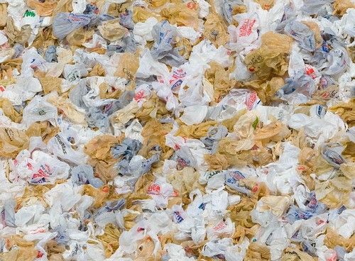 The danger of plastic bags - ảnh 1