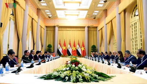 Vietnam, Egypt agree to boost win-win cooperation  - ảnh 1