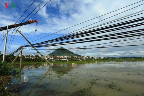 Storm Damrey recovery efforts underway in Vietnam - ảnh 1