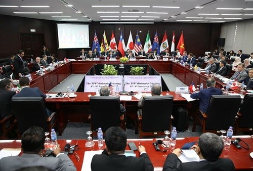 Final version of Trans-Pacific trade deal released - ảnh 1
