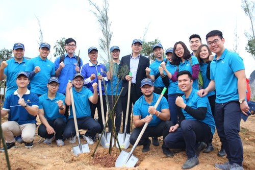 Vietnam Airlines, Youth Union jointly plant 11,000 trees in Quang Ninh - ảnh 3