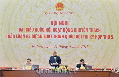 Full-time NA deputies discuss bill on special administrative economic units  - ảnh 1