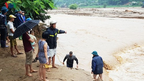 Localities fight torrential rains, floods  - ảnh 2