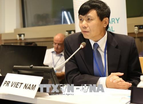 Vietnam actively participates in UN forums: Ambassador  - ảnh 1