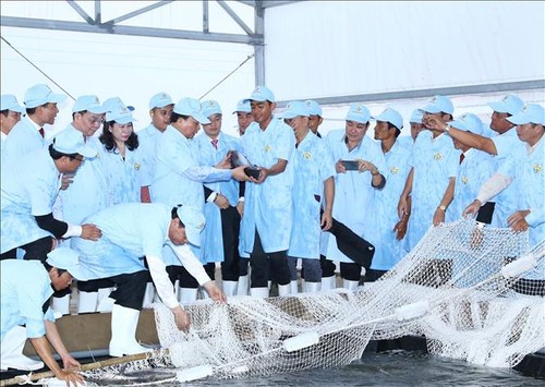 PM visits tra fish hi-tech production model in An Giang - ảnh 1