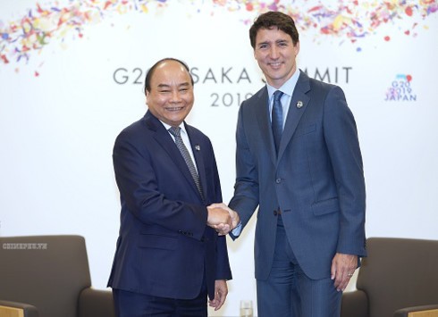 PM meets world leaders on G20 Summit sidelines - ảnh 3