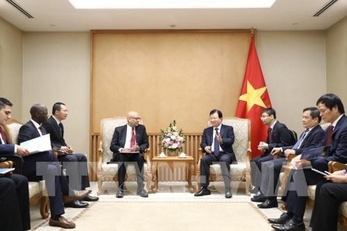 Vietnam boosts energy development cooperation with World Bank - ảnh 1
