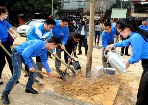 Hanoi to plant up to 120,000 new trees this spring - ảnh 1