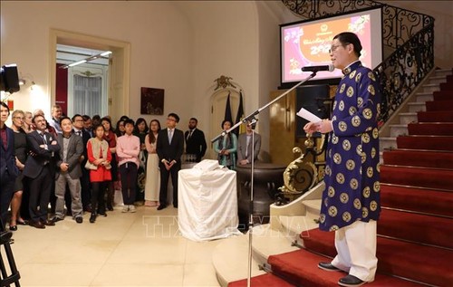Embassy hosts Lunar New Year reception for Vietnamese expats - ảnh 1