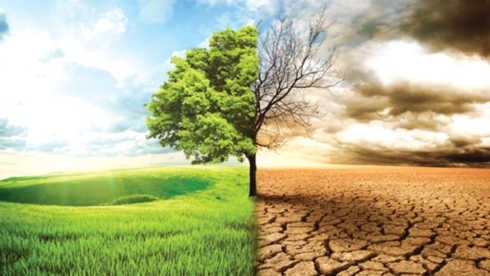 National strategy on climate change promoted - ảnh 1