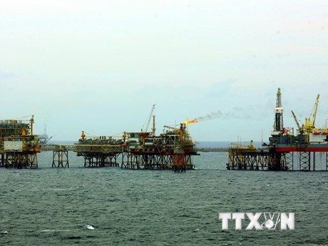PVN's oil output hits 10.7 million tons in H1 - ảnh 1